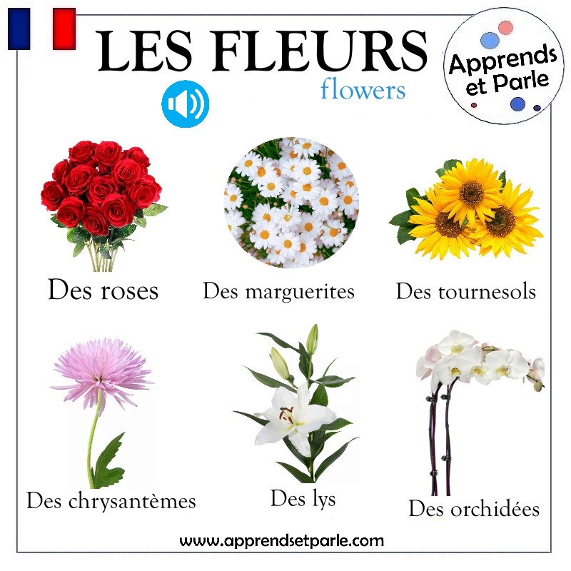 les fleurs sans audio